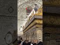 عجيب الكاظم مرادة مسلم الوائلي 