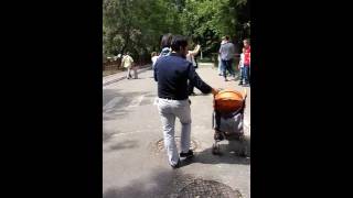 Kyiv. Ukraine. Zoo . Zebra. Daughter and father. Адриана в зоопарке. Зебра Kyiv. Ukraine. Zoo . Zebra. Daughter and father. Адриана в зоопарке. Зебра