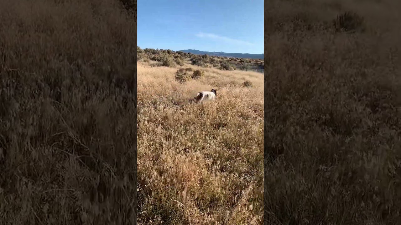 Favorite moments in nature and adventure 