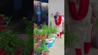 Mere Bhagiya ❤? viral gardening houseplants ytshorts plants shorts trending