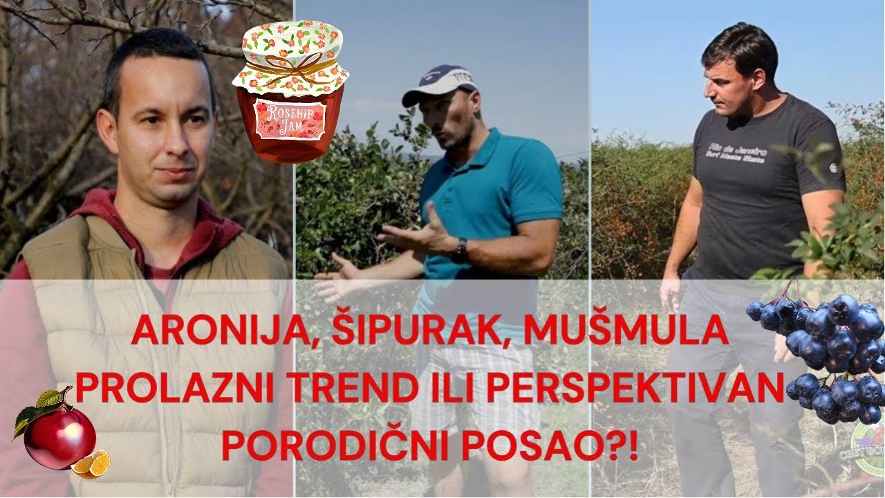 Svet voćarstva ep. 48 26.04.2025. SPECIJAL - alternativne voćne vrste: aronija, šipurak, mušmula