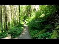 Meditation in Motion: A Mindful Hike with Nature Sounds [Part 12/25]