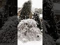 SOUTH JERSEY @2pm EST 😩❄️