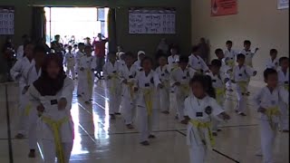 Taekwondo Exercises for Beginners Basic Form 2 (Yellow Belt)