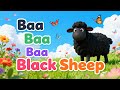Baa Baa Black Sheep | Nursery Rhymes | Fun Kids Songs