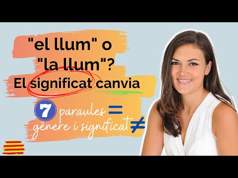 📢 EL llum o LA llum? Masculí o femení | 7 paraules en català amb què tothom dubta