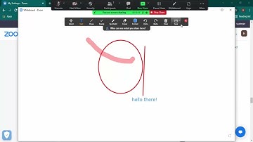 How to use the Whiteboard in Zoom