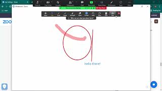 How to use the Whiteboard in Zoom
