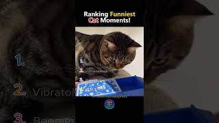 Meow cat Funny Moments! #fyp #furbaby #cat