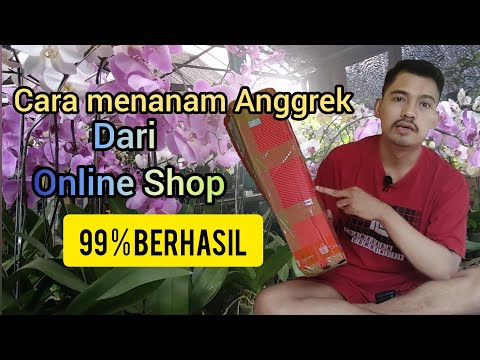 Cara menanam anggrek dari Online Shop dijamin berhasil