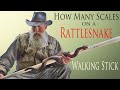 How to Create Realistic Details on a  Rattlesnake Walking Stick (Part 2)