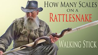 How to Create Realistic Details on a  Rattlesnake Walking Stick