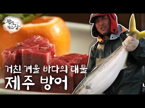 [팔도밥상] 힘찬 바다의 맛을 보다, 제주도 밥상 &amp;#39;<strong>제주</strong> <strong>방어</strong>&amp;#39; 편 KBS 161211 방송
