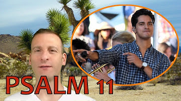 Psalm Chapter 11 Summary and What God Wants From Us