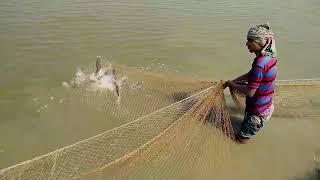 Amazing Big Catch Fishing Skill Net Fishing In The Sea