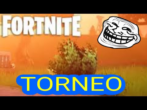 2 CAMPEROS JUEGAN UN TORNEO DE FORTNITE
