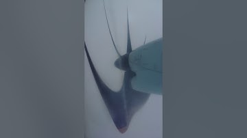 Dash 8 - 100; Rolling Shutter Effect