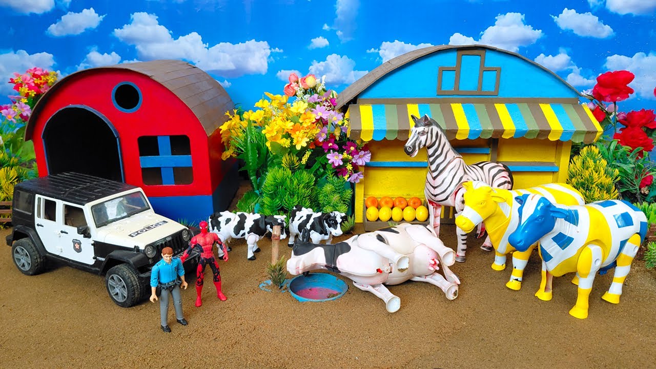 Wadidau‼️Proses Potong Sapi Kurban & Kerbau Lucu - Truk Oleng Angkut Sapi Kotor #186