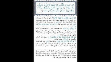 عوني القرمـة: سورة النبأ: رب السماوات والأرض وما بينهما الرحمن - وقال صوابا