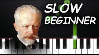 Tchaikovsky - Swan Lake | SLOW BEGINNER Piano Tutorial