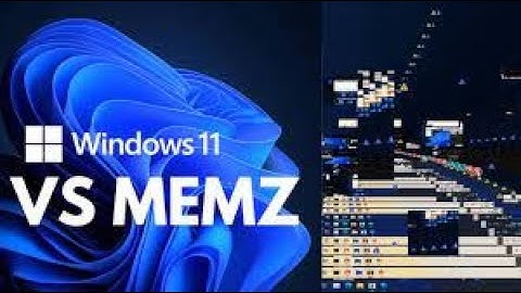 Trashing My windows 11 VMware Virtual Box by memz trojan