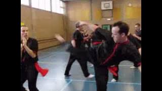 Shaolin Hung Gar and Choy Lee Fut Kung Fu