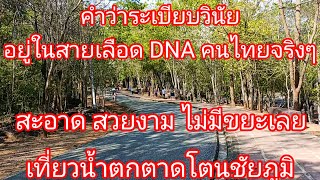 ยอมใจคนไทยคำว่าระเบียบวินัยอยู่ในสายเลือด DNAจริงๆขนาดในป่ามองไปทางไหนก็สะอาดงามตาไม่มีขยะเลย