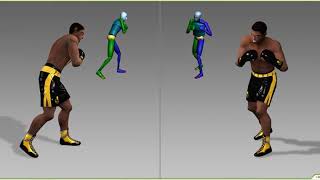 Unity Asset Store Pack - Boxer 7631 Tris (Download link below)