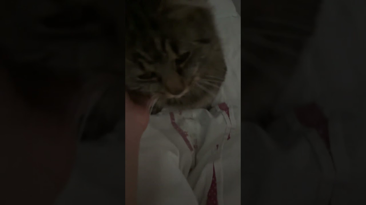 Morning greetings 🤍 