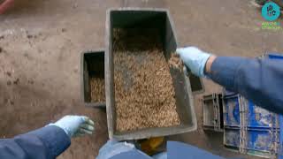 Sehari Menjadi Operator Pengelolaan Sampah Organik Waste4Change