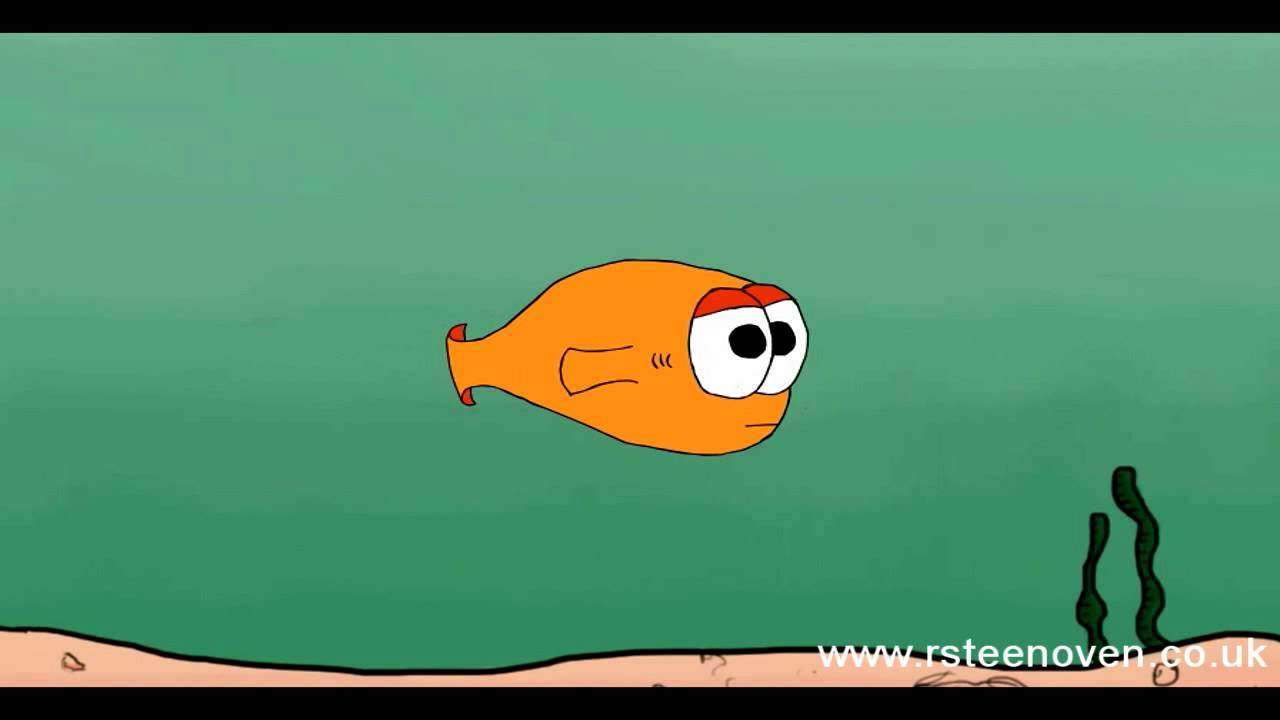 The Animals - Episode 2 - Fish - YouTube