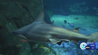 With tanks in place, Onondaga County aquarium awaiting aquatic population