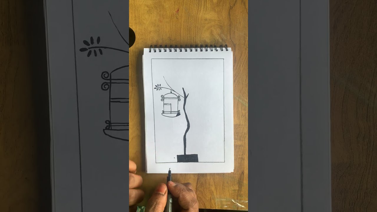 parrot in cage drawing || Love birds 