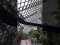 Jurassic World park in Singapore 2