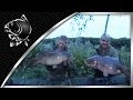 NASH TV : RAW! ALAN BLAIR & KEVIN NASH - DOUBLE TAKE - MIRROR & COMMON CARP - CARP FISHING VIDEOS