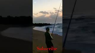 fishing Umdloti #durban