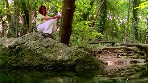 Urban Forests Clean Our Air