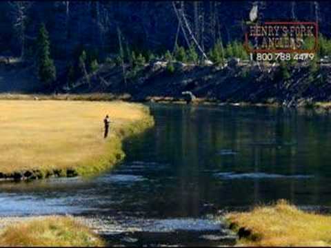 Fly Fishing Yellowstone Park with Henry's Fork Anglers