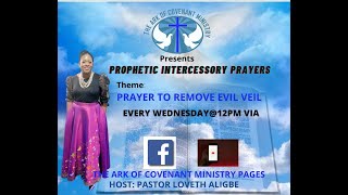 PRAYER TO REMOVE EVIL VEIL