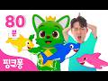 알록달록 색깔로 변신 🌈 인기 색깔 동요 동화 모음 | +모음집 | 알록달록 상어가족, 색깔이 사라졌어요 외 | 호이 튼튼쌤 | 색깔놀이 | 핑크퐁! 인기동요
