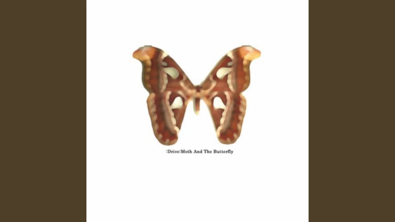 The Gathering Of The Moth bekijken op YouTube The Gathering Of The Moth bekijken op YouTube