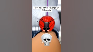 POV: How To Get Revenge On A Mosquito