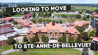 Welcome to Sainte-Anne-de-Bellevue | Montreal's Hidden Gem