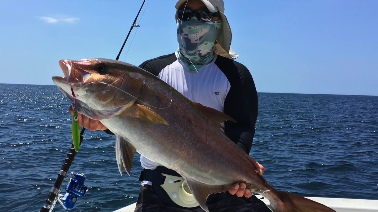 Cebaco Bay Almaco Jack