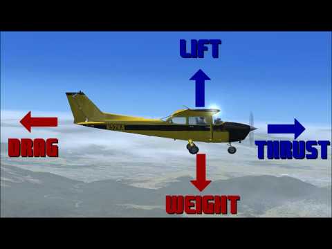 The Aerodynamics of Flight  