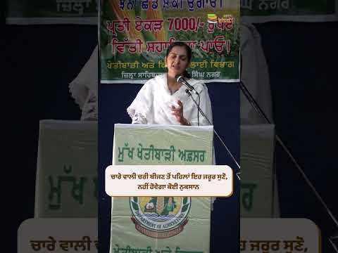 ਚਾਰੇ ਵਾਲੀ ਚਰੀ ਦੀ ਬਿਜਾਈ ਕਰਨ ਵਾਲੇ ਇਹ ਗਲਤੀ ਨਾ ਕਰੋ | Important Tip for Sorghum Farmers |