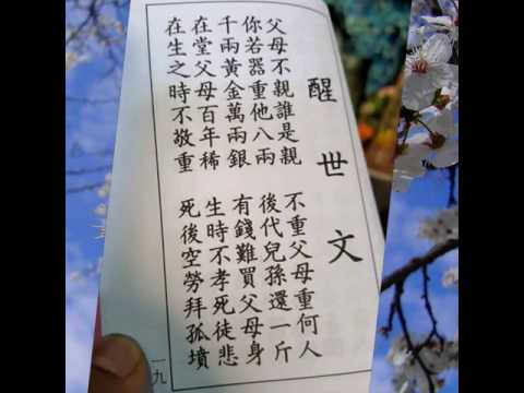 弱弱的我  ~*~生命过客~*~