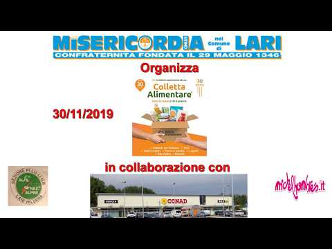 Banco alimentare 2019