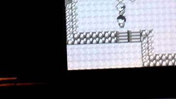 Dome fossil or Helix Fossil