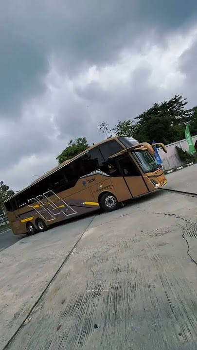 Story' wa bus tam cargo akdp 30 detik 🔥video by.oriannzahrii #masukberanda #storywabusterbaru